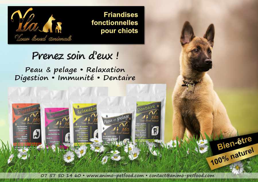 friandises pour chiot